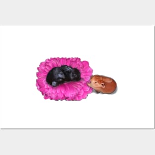 Bunny Rabbits playing hide and seek on a flower -bunny rabbit cute  ebony black and ginger bunny rabbit Posters and Art